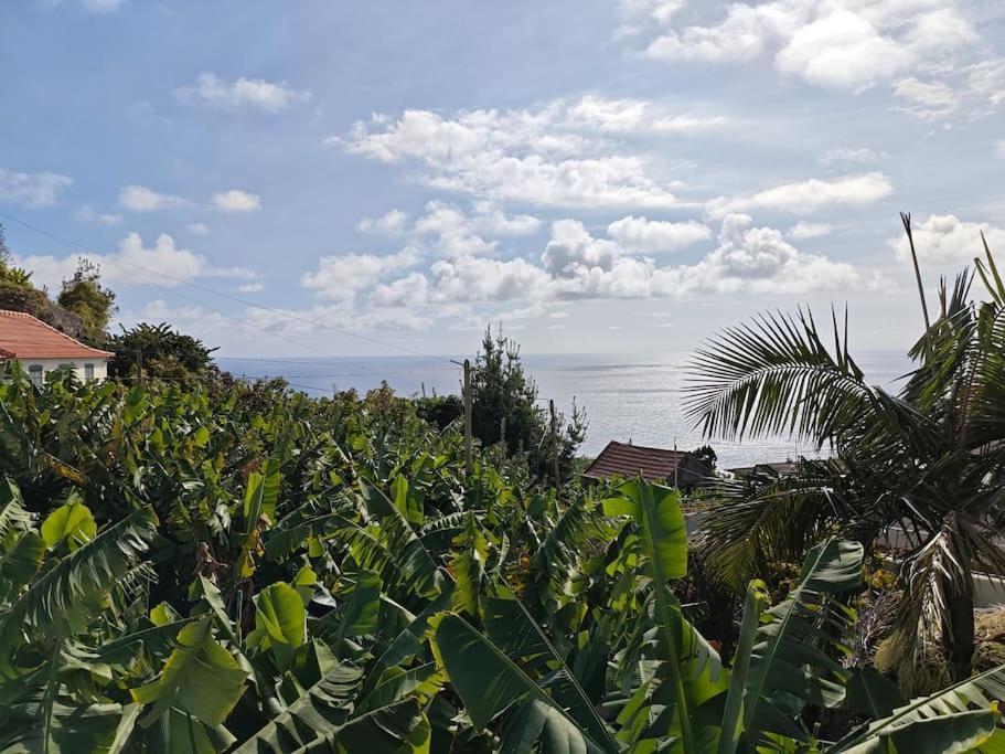 Апартаменти Vаrаndаs Dо Sоl-Vista Relaxante Entre Mar E Montanha Понта-ду-Сол Екстер'єр фото